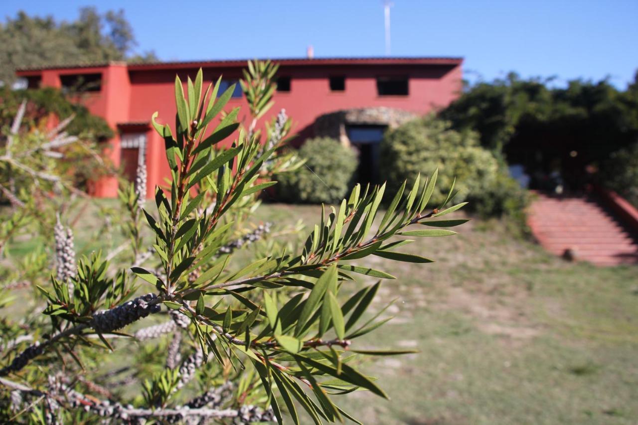 Casa Rural Entreaguas Apartment Villanueva De La Vera Exterior photo